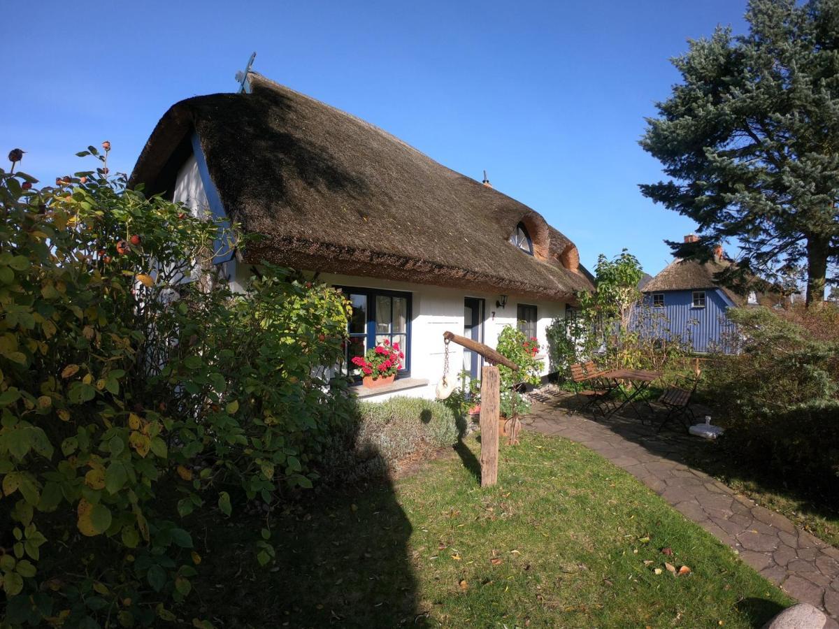 Darss Apartment Wieck